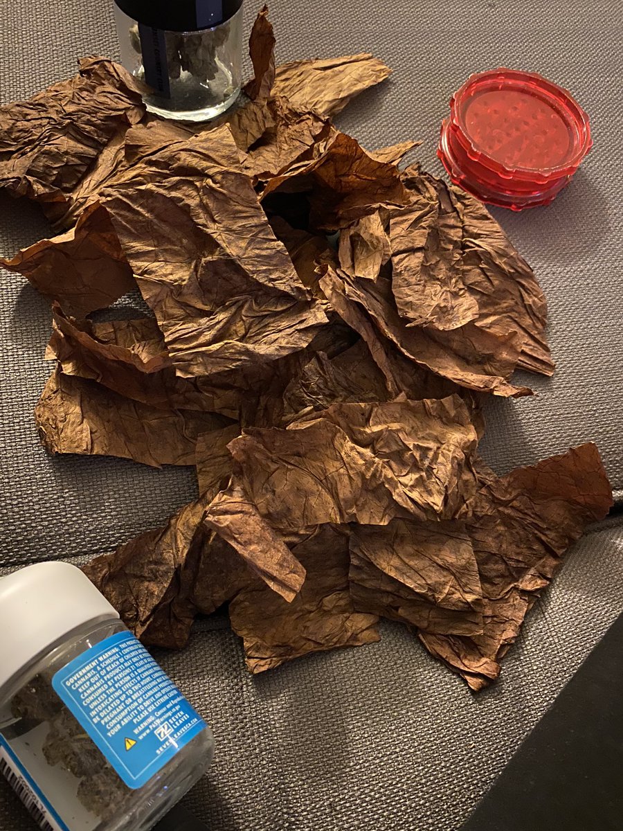 How To Store Your Fronto Leaves - Hotgrabbz™ Grabba