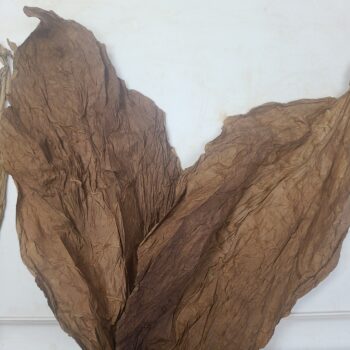 Ecuadorian Shade Wrappers